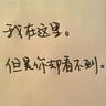 120W是充电器商标
